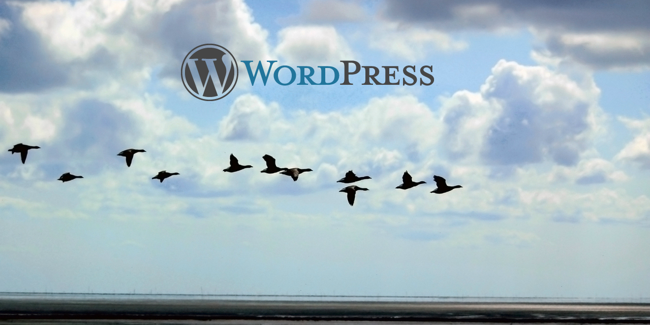 What to Consider Before Moving your WordPress Site to a New Provider