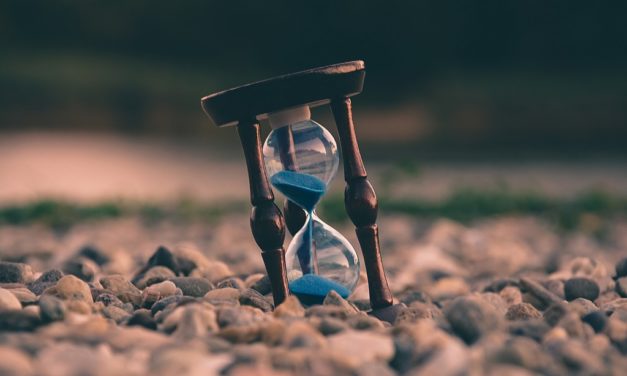 How to Programmatically Fetch and Display Reports using Toggl API